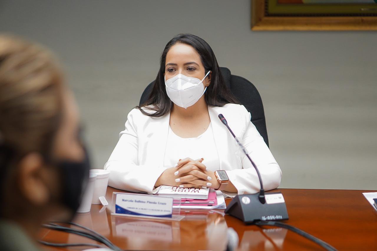 Diputada Pineda: FGR debería investigar a legislatura saliente por trasgredir Código Penal diputada-pineda-fgr-deberia-investigar-a-legislatura-saliente-por-trasgredir-codigo-penal